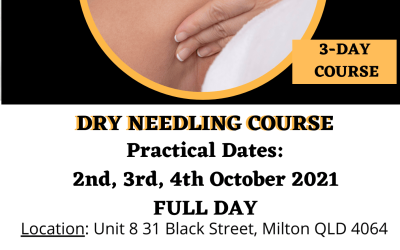 17. DRY NEEDLING COURSE