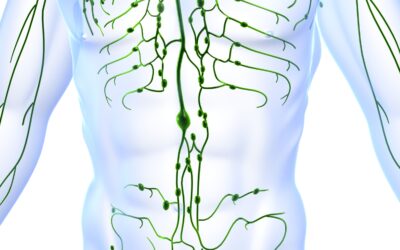 LYMPHATIC DRAINAGE MASSAGE COURSE